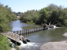 Bob Jones Trail, Marre Dam