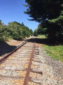 A bit rough, but the rail corridor in SC county is the safest way to move around our community.