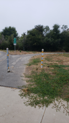 Goat head thorns at bike trail entrance, crossing onto pavement. San ricardo @ plaza aleman, goleta, ca. Sb county jurisdiction.