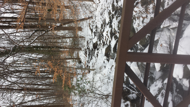 Walkers path behind Twinbrook Recreation Center