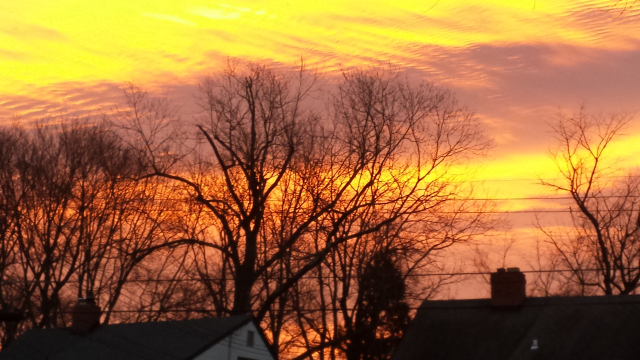 Sunrise outside my kitchen window in Twinbrook
