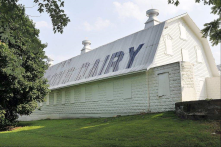 Mattie J. Stepanek Park in King Farm: the open space, the playground, the fields, and the barn