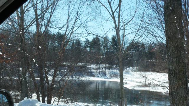 Watkins Pond, King Farm