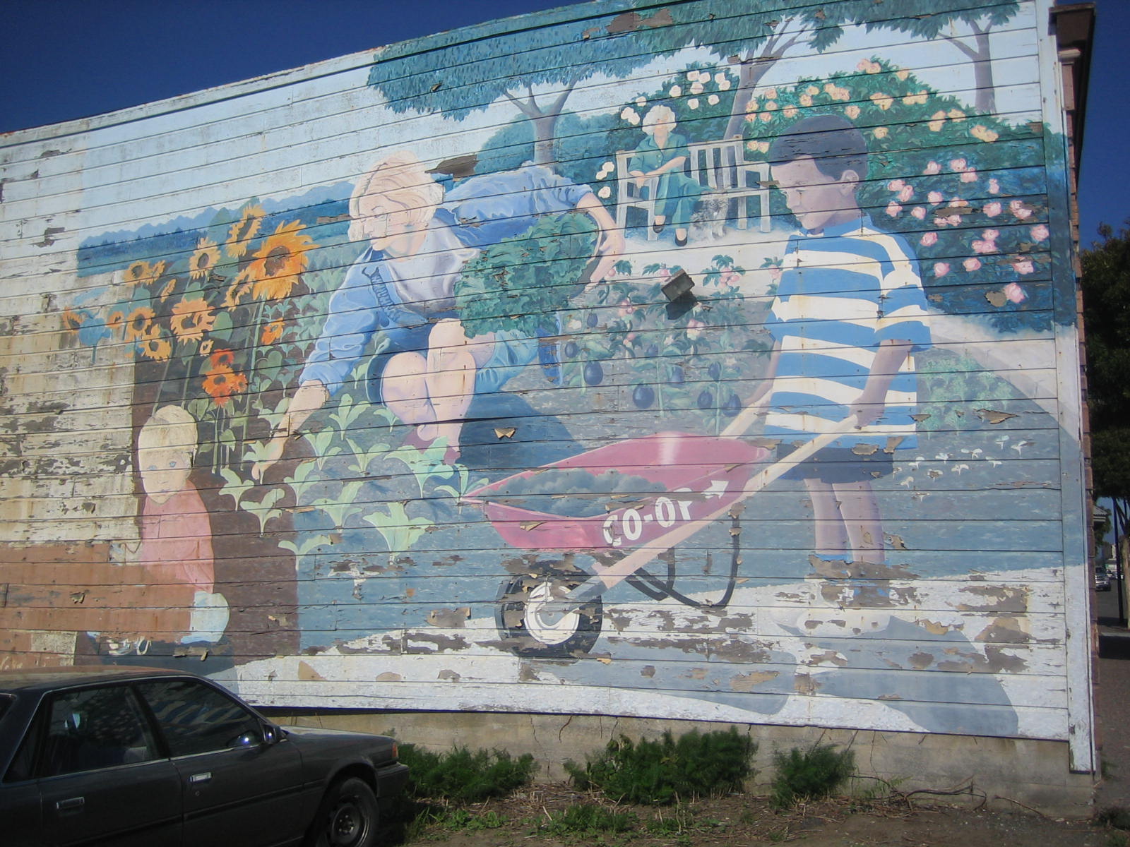 Creating a Sustainable Community