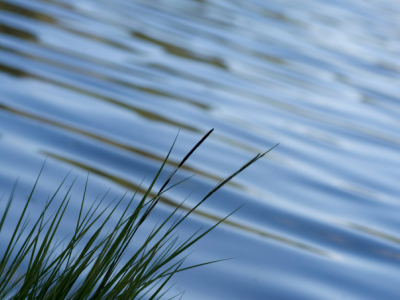 Permanent Flood Protection