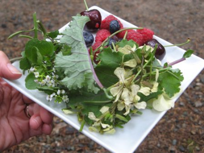 Foraging Tours