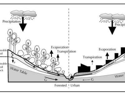 Stormwater Catchment System