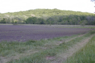 Land Use and Development Strategies