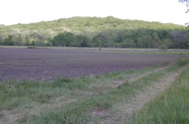 Land Use