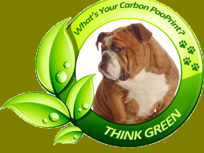 What is the Real Impact of Unscooped Pet Waste?!!!!