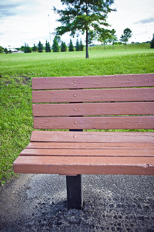 The Value of Parks and Managed Lands