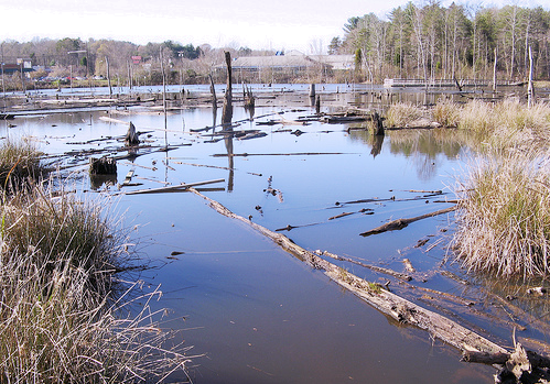 What about Green Infrastructure?