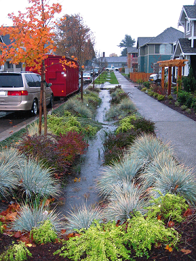 What about Green Infrastructure?