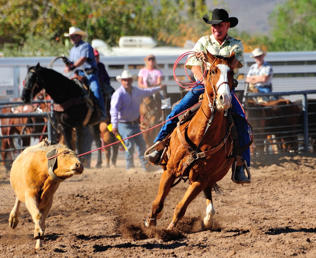 Western heritage, equestrian events, rodeo, horse parks and trails.  