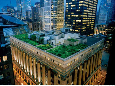 CityScape Pavilion Building - Create Rooftop Green Space