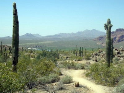 More mountain trails and road bike lanes