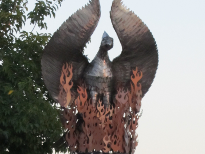 Phoenix Lives Up to Its Name