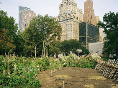 Enable urban agriculture