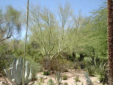 Papago Park