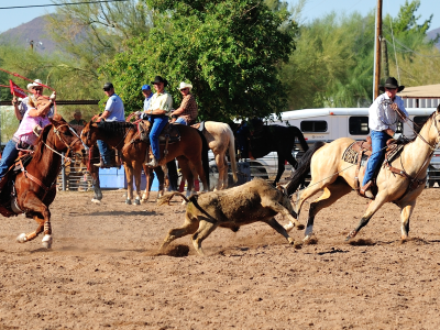 Maintain Western Heritage; keep it horse friendly for tourism