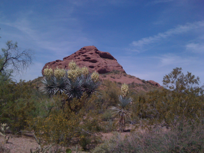 Connect the Phoenix and Tempe sections of Papago Park