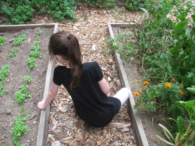 Grow community gardens in public school land