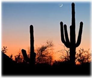 Build the Sustainable Desert City in Phoenix