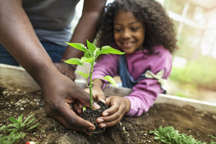 Tree Planting in Beverly and Salem