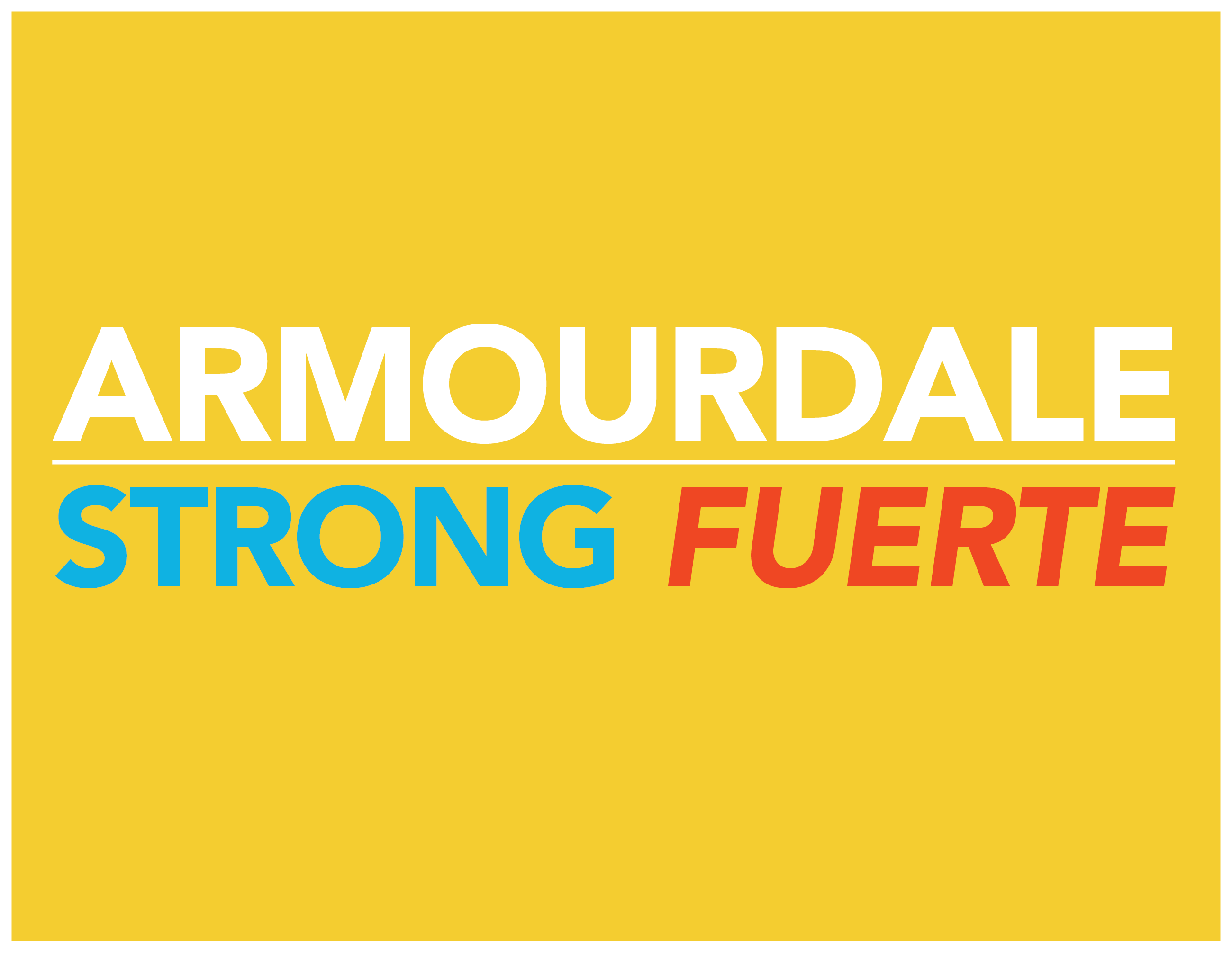 Survey: Identifying Community Issues and Initiatives in Armourdale