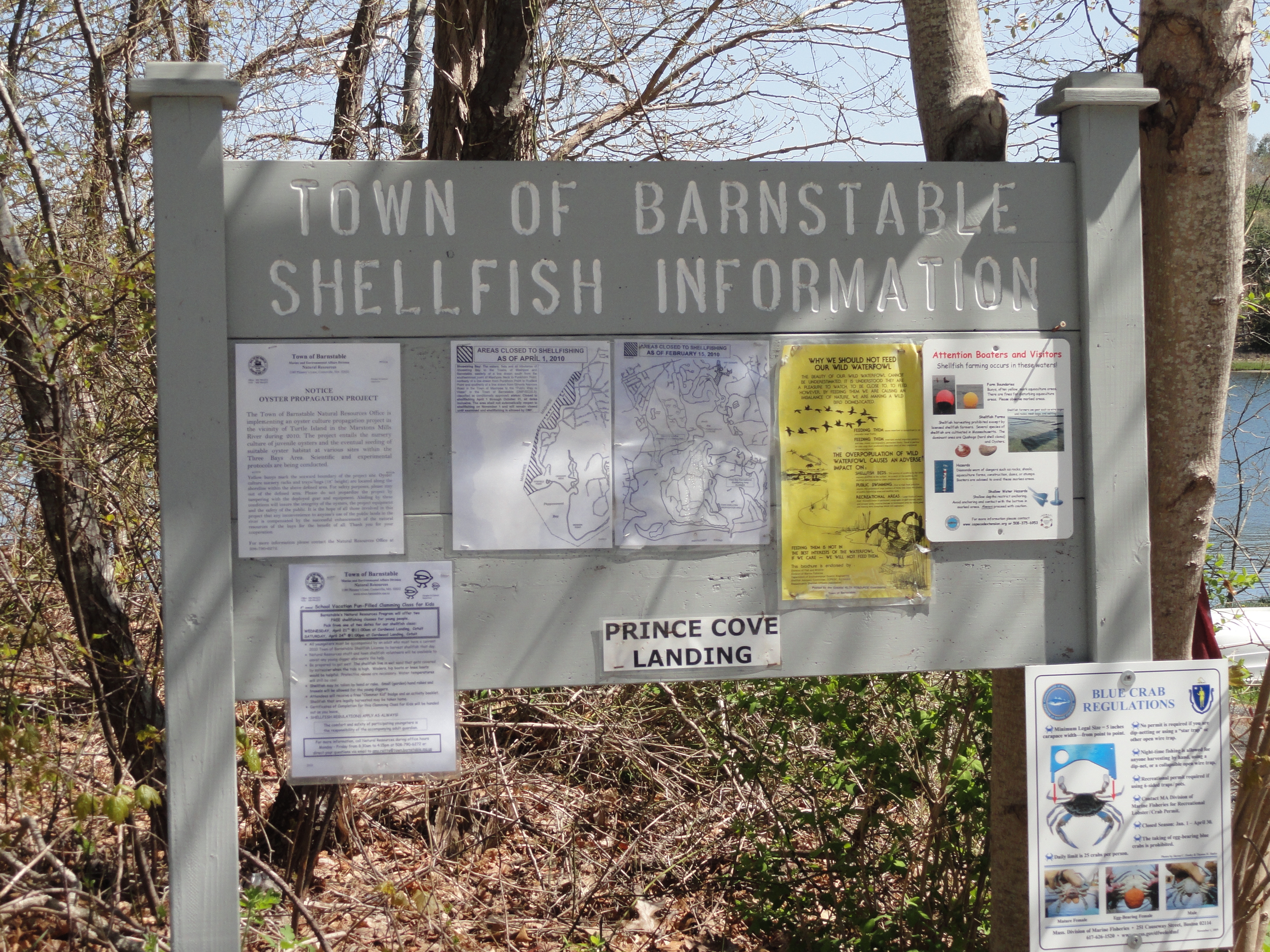 Do you use Barnstable's services?