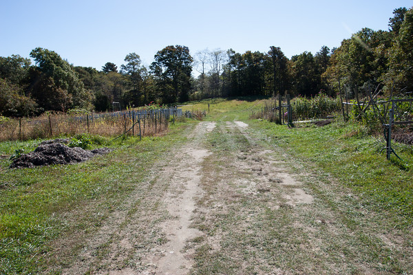 Community Gardens