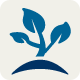 What steps would you take to have a healthy, organic lawn?