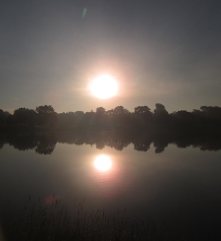 Miller Park sunrise (taken through sunglasses) 