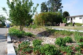 This street swale could be used along existing roads to convey surface water while also filtering it.  