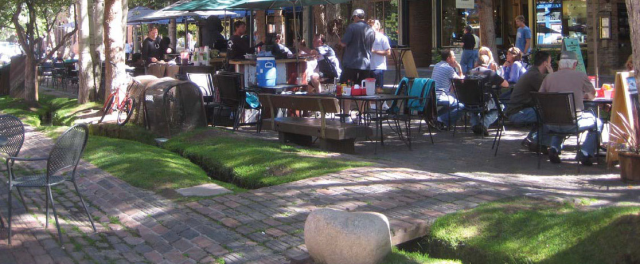 A small linear drainage feature creating a green amenity for neighboring sidewalk cafes.