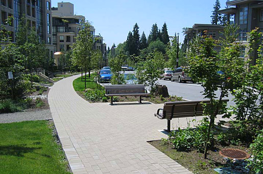 Places To Revitalize: Locations for Stormwater Amenities