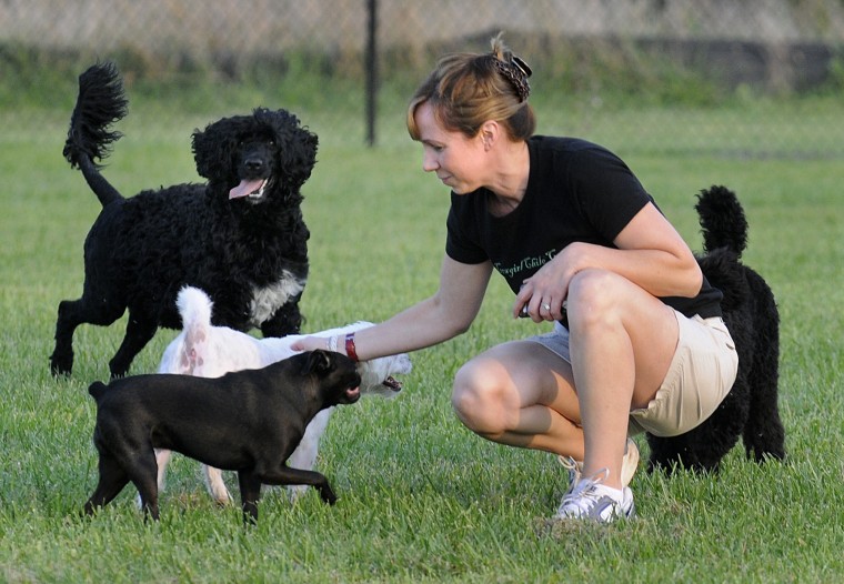 Lincoln Parks & Recreation Dog Use Facilities Master Plan Survey