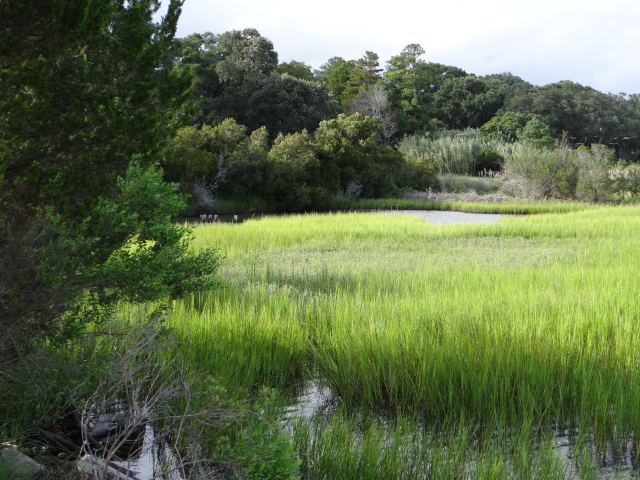 Intracoastal Waterway just north of Wrightsville Beach.