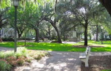 The Squares Parks in Savannah, Georgia. There are so many of them, and they are all so peaceful and beautiful.