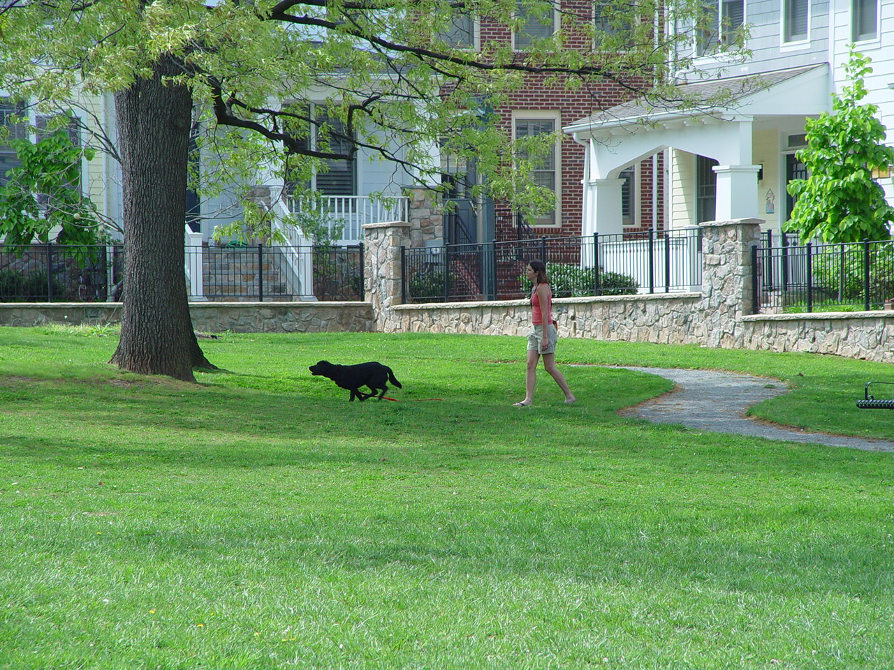 What is something you would like to change about your neighborhood?