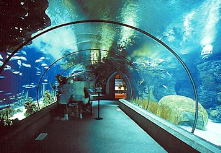 Inside the aquarium at the Omaha Zoo! 