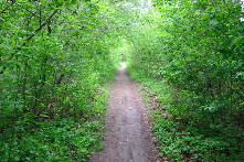 I like taking my kids to this bike trail at Swawson Park.