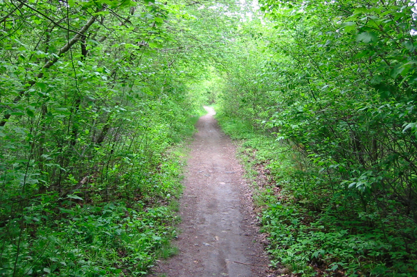 I like taking my kids to this bike trail at Swawson Park.