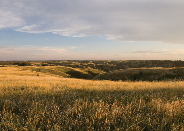 A great picture of the Sandhills.