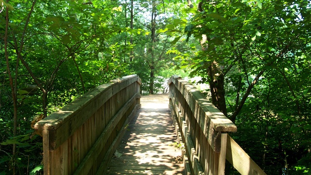 Poll: Enjoying Our Parks