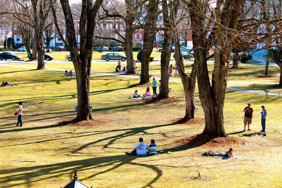 Budgeting Park Projects