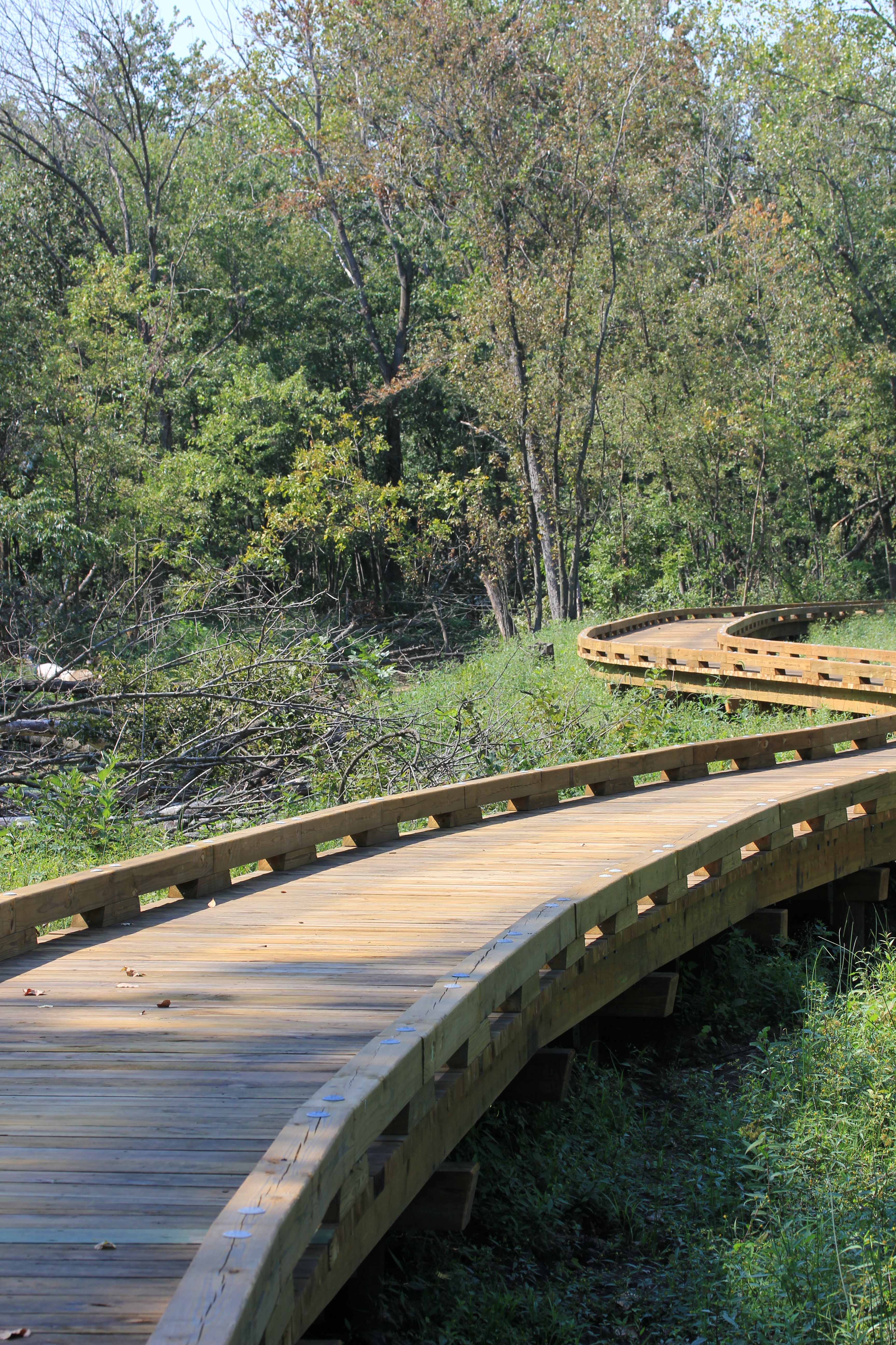 Nature Centers at the Forest Preserves