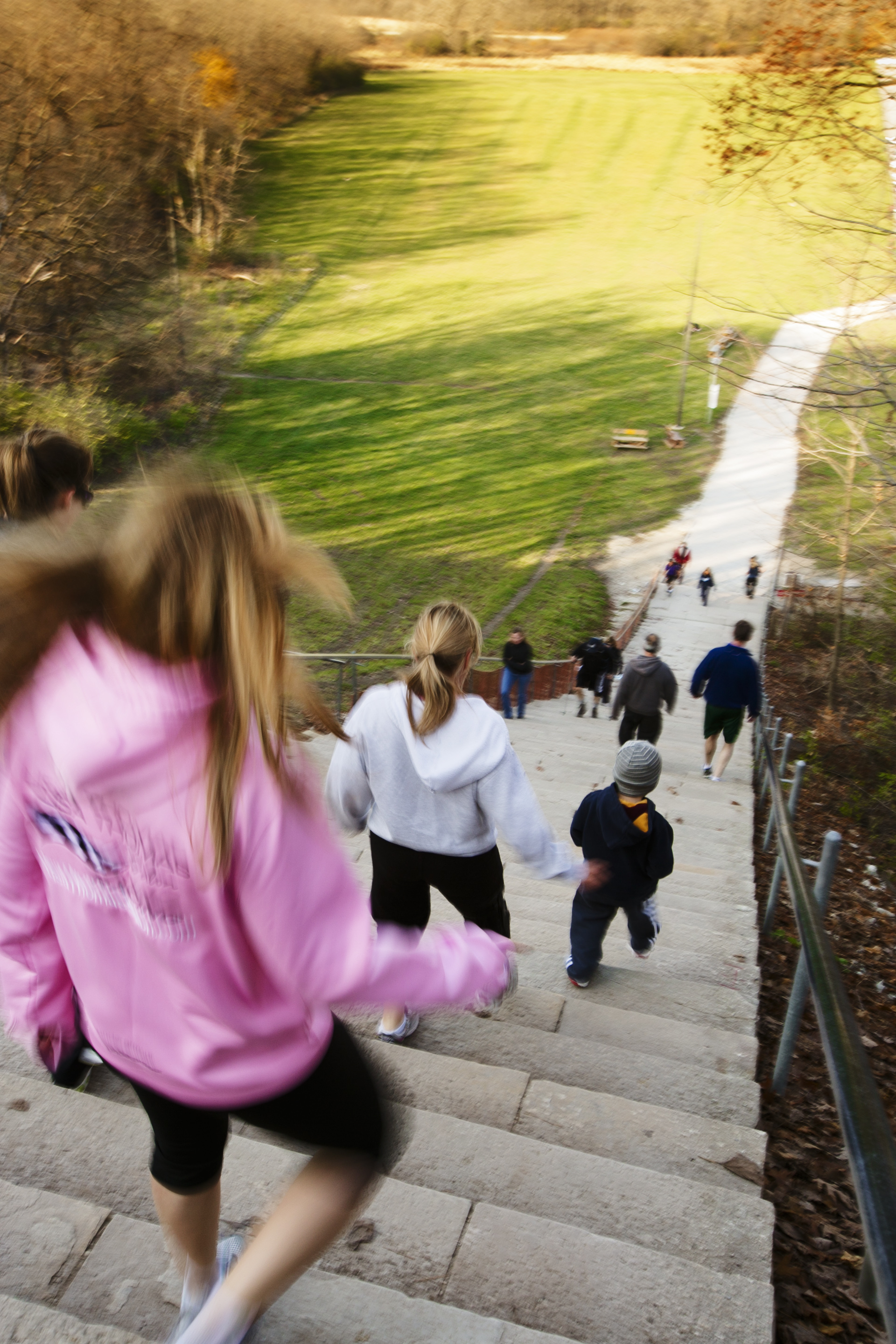 Getting to the Forest Preserves