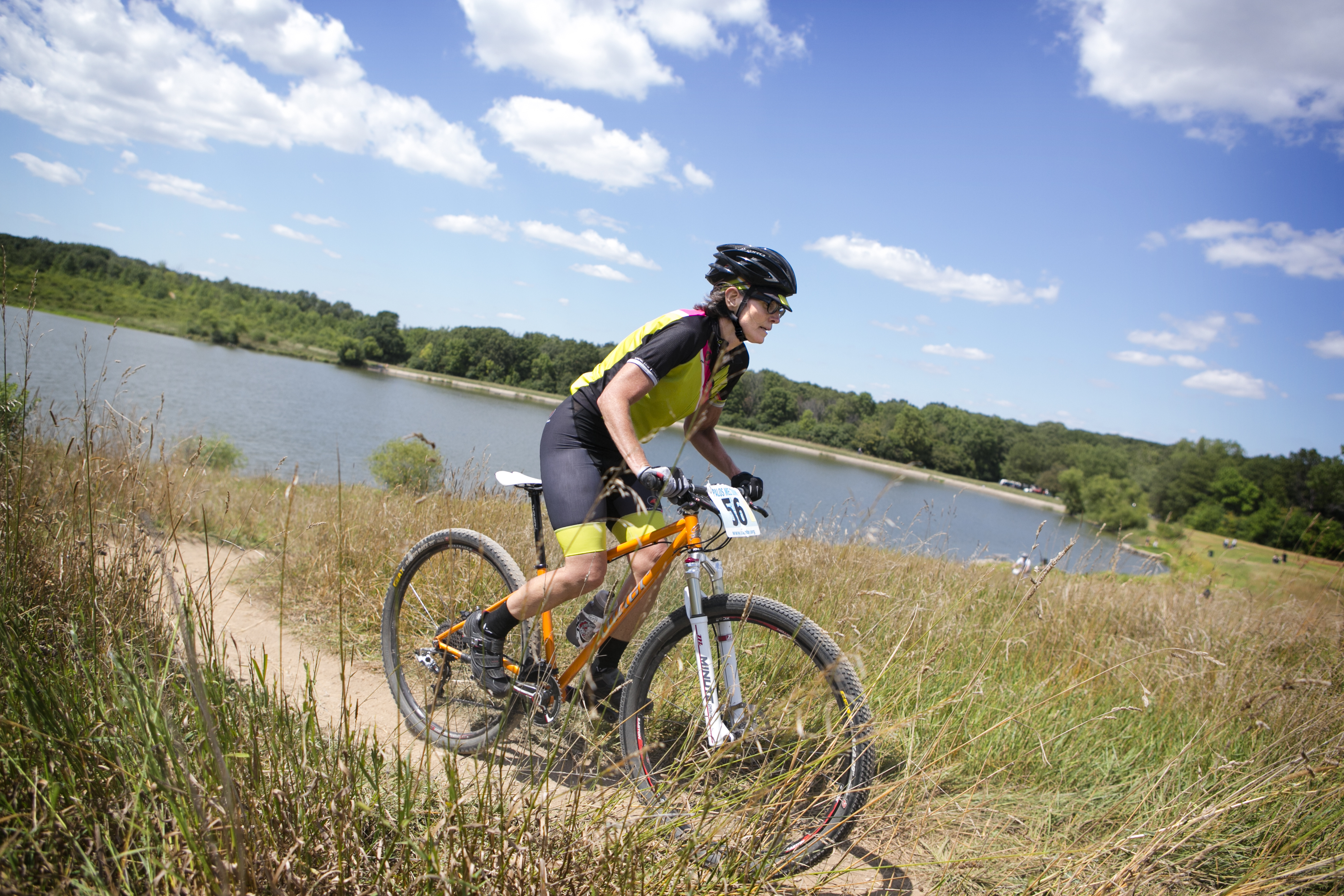 Getting to the Forest Preserves