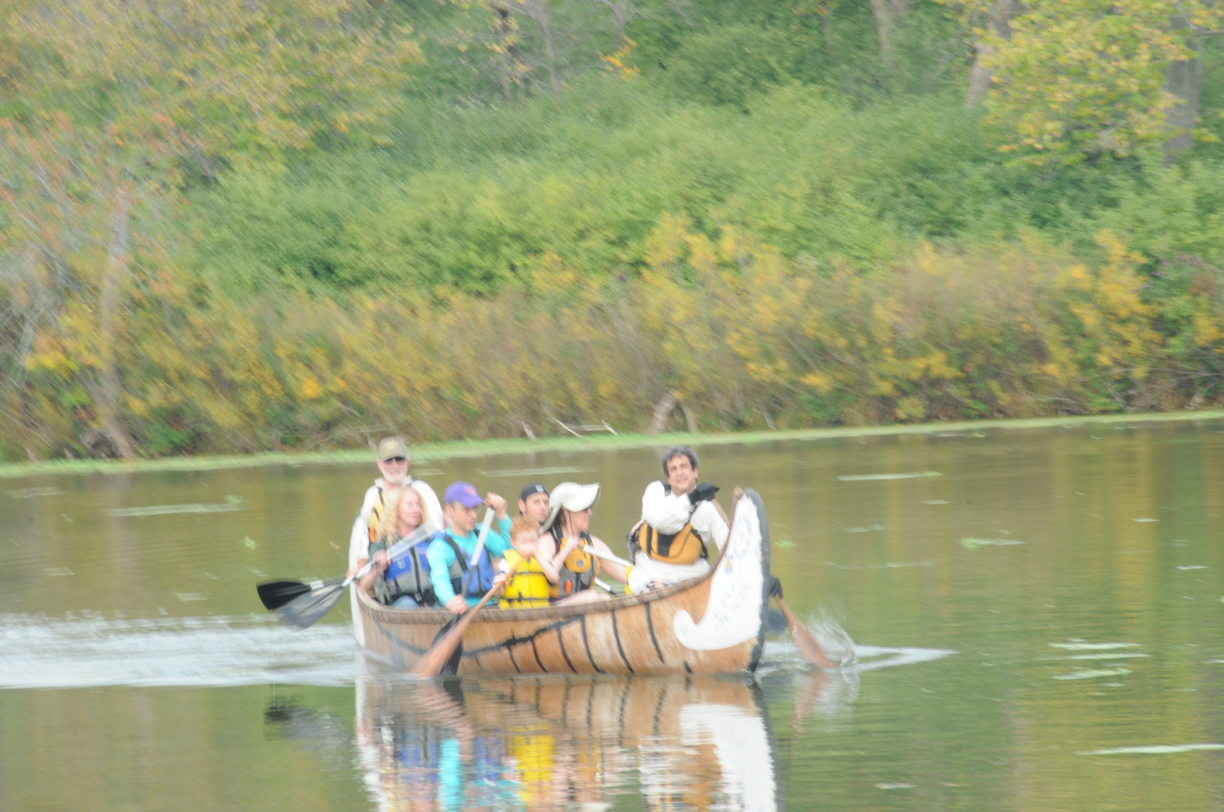 Paddling in the Forest Preserve
